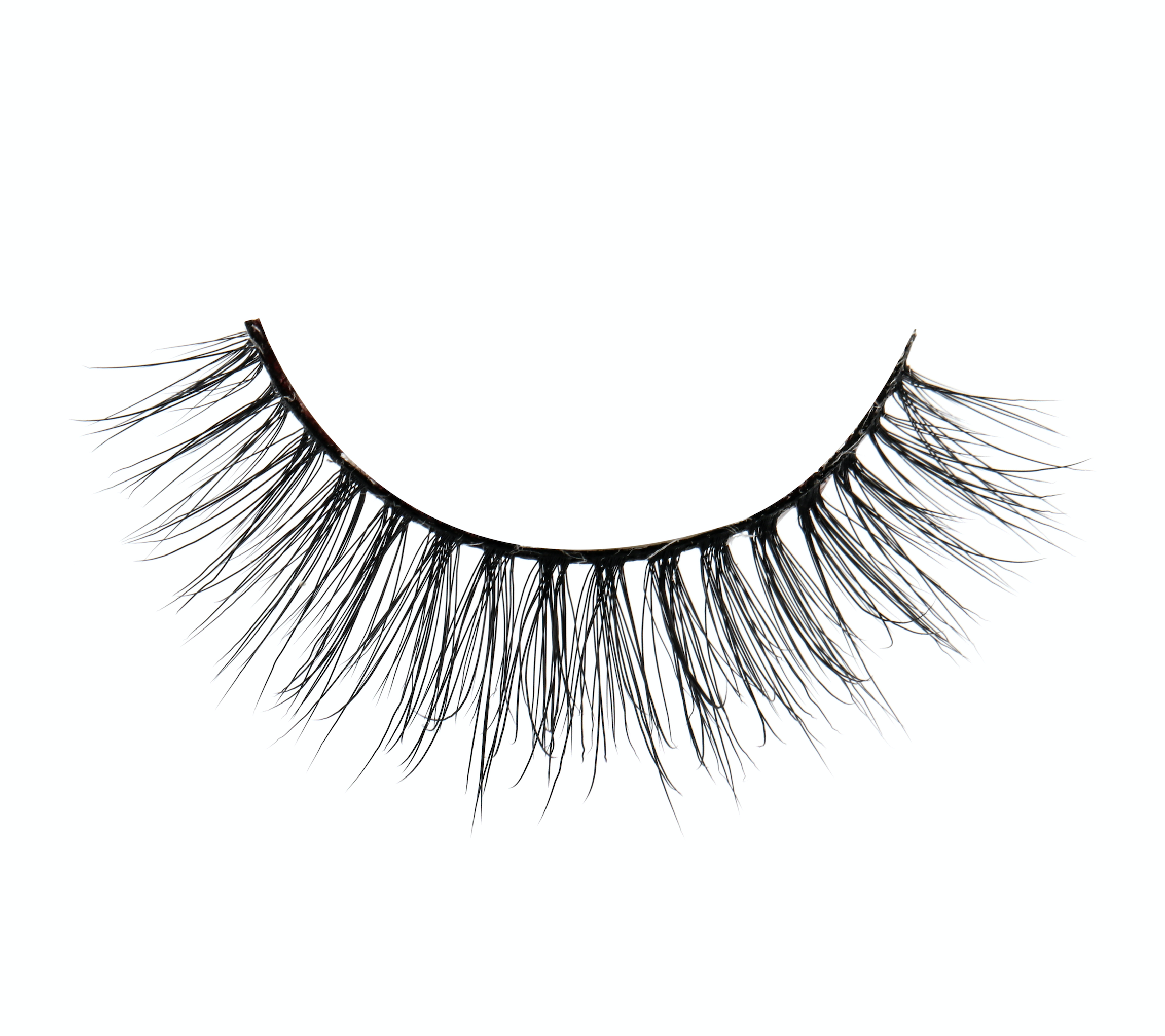 paloma lashes